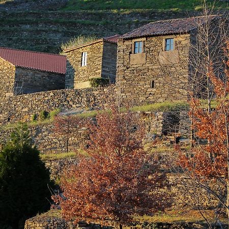 Cardenha Do Douro Villa Mesao Frio Room photo